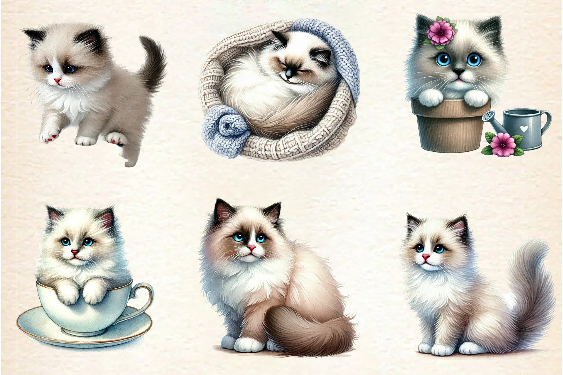 Ragdoll Cat Clipart Bundle - CraftNest - Digital Crafting and Art
