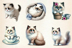 Ragdoll Cat Clipart Bundle - CraftNest - Digital Crafting and Art
