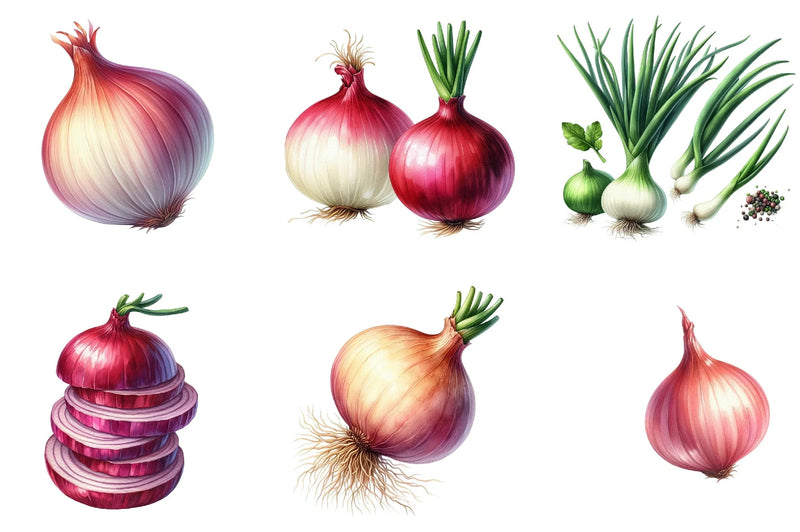 Onion Clipart Bundle - CraftNest - Digital Crafting and Art