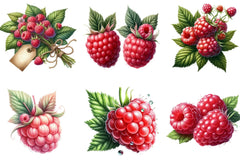 Raspberry Clipart Bundle - CraftNest - Digital Crafting and Art
