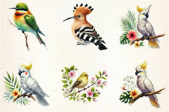 Tropical Birds Clipart Bundle - CraftNest - Digital Crafting and Art