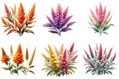 Celosia Flower Clipart Bundle - CraftNest - Digital Crafting and Art