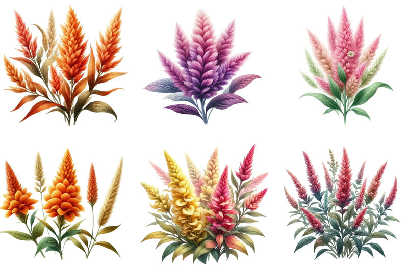 Celosia Flower Clipart Bundle - CraftNest - Digital Crafting and Art