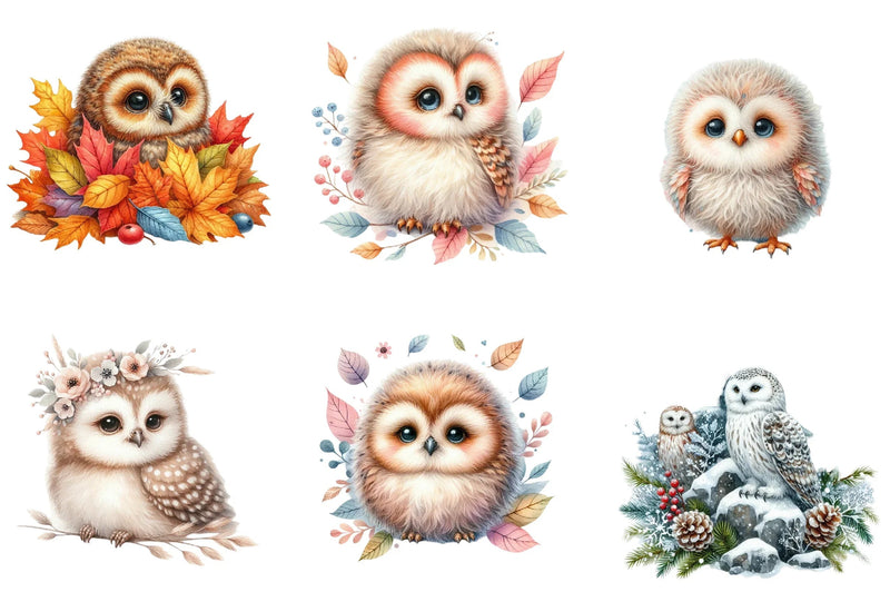 Owl Clipart Bundle - CraftNest - Digital Crafting and Art