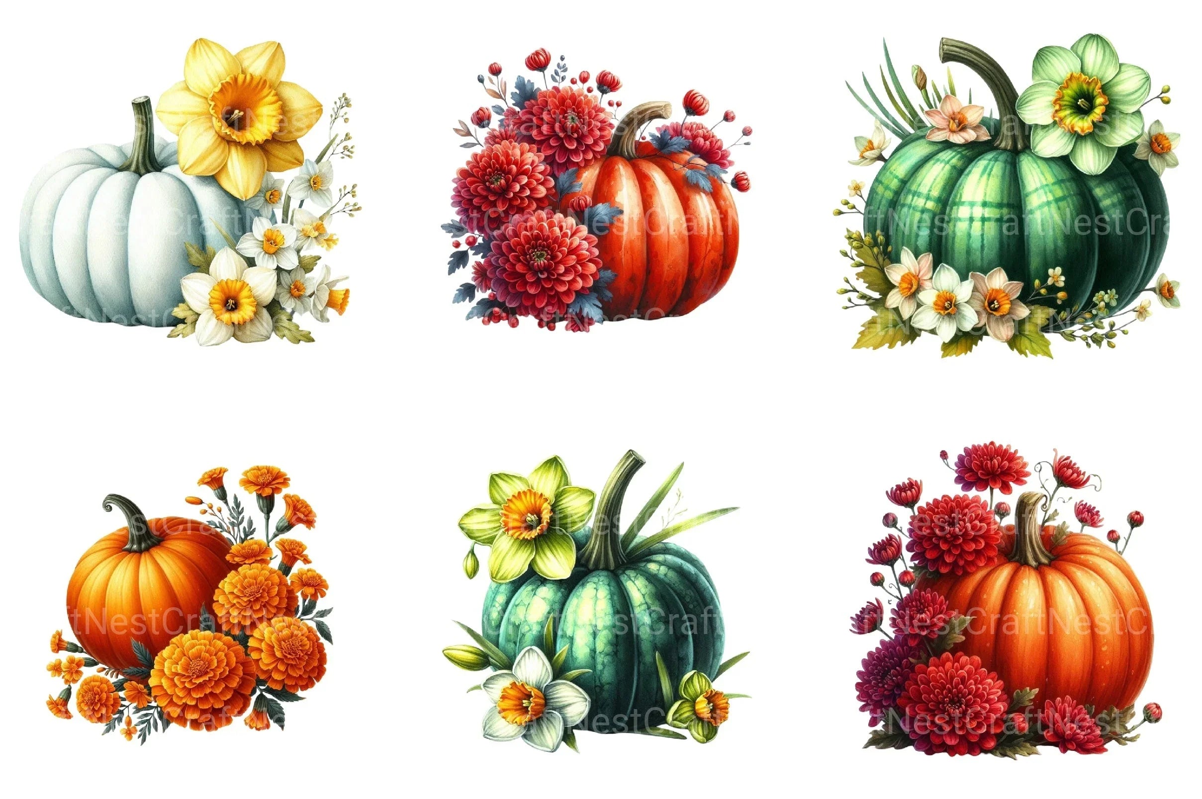 Birth Month Floral Pumpkin Clipart Bundle - CraftNest - Digital Crafting and Art