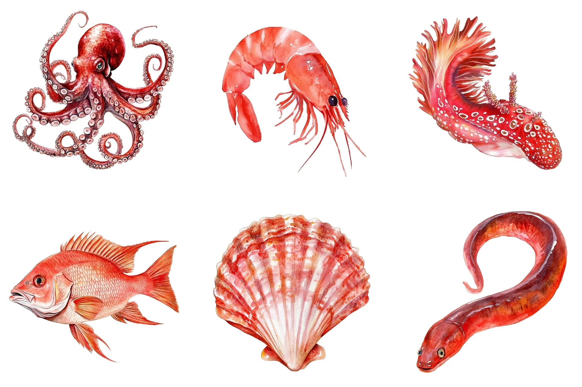 Red Ocean Animals Clipart Bundle - CraftNest - Digital Crafting and Art