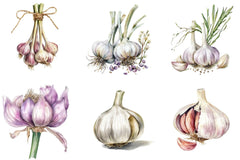 Garlic Clipart Bundle - CraftNest - Digital Crafting and Art