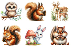 Woodland Animals Design Clipart Bundle - CraftNest - Digital Crafting and Art