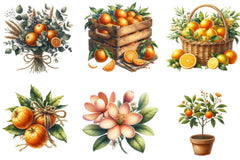 Oranges Clipart Bundle - CraftNest - Digital Crafting and Art