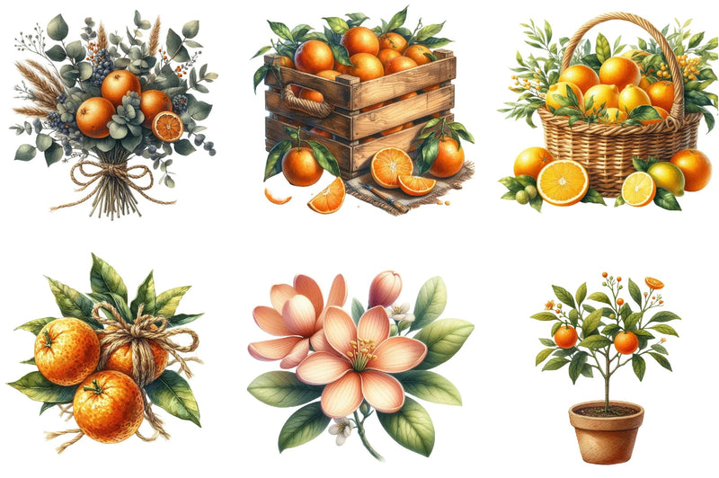 Oranges Clipart Bundle - CraftNest - Digital Crafting and Art
