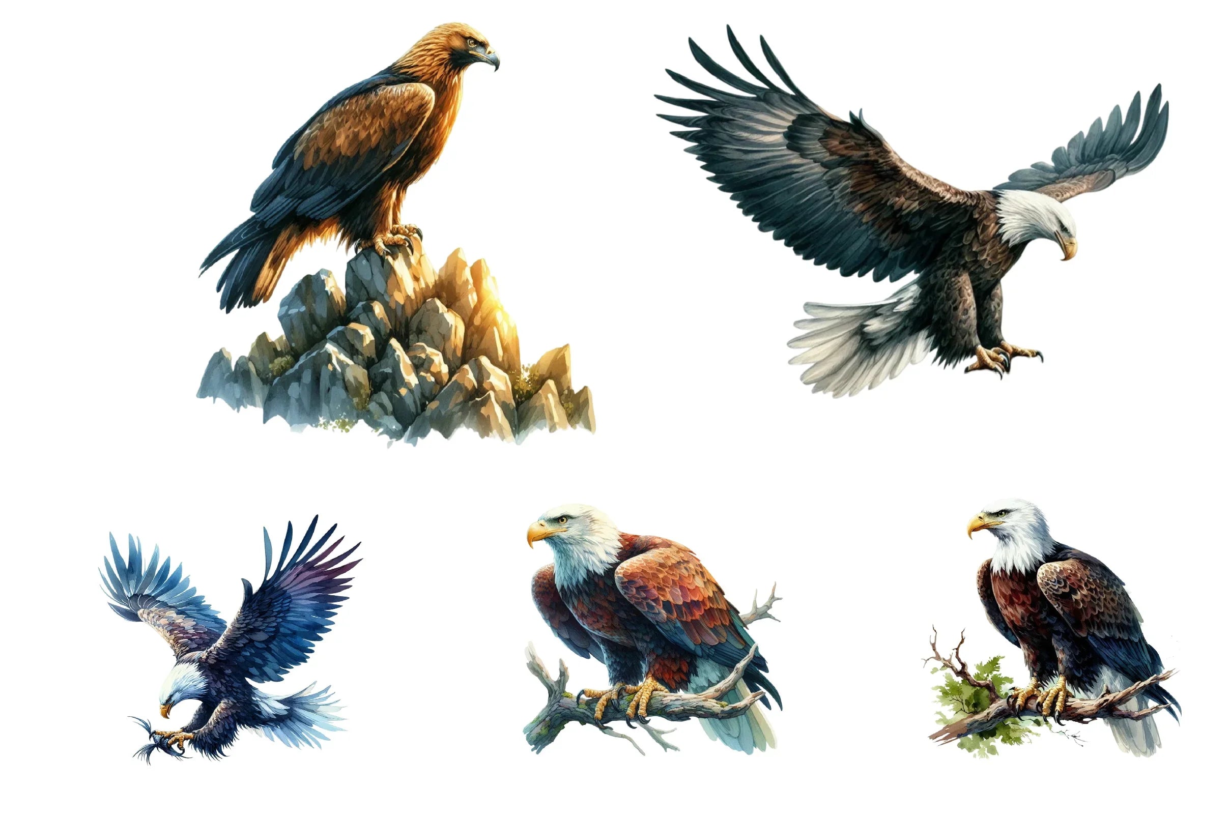 Hunting Eagle Clipart Bundle - CraftNest - Digital Crafting and Art