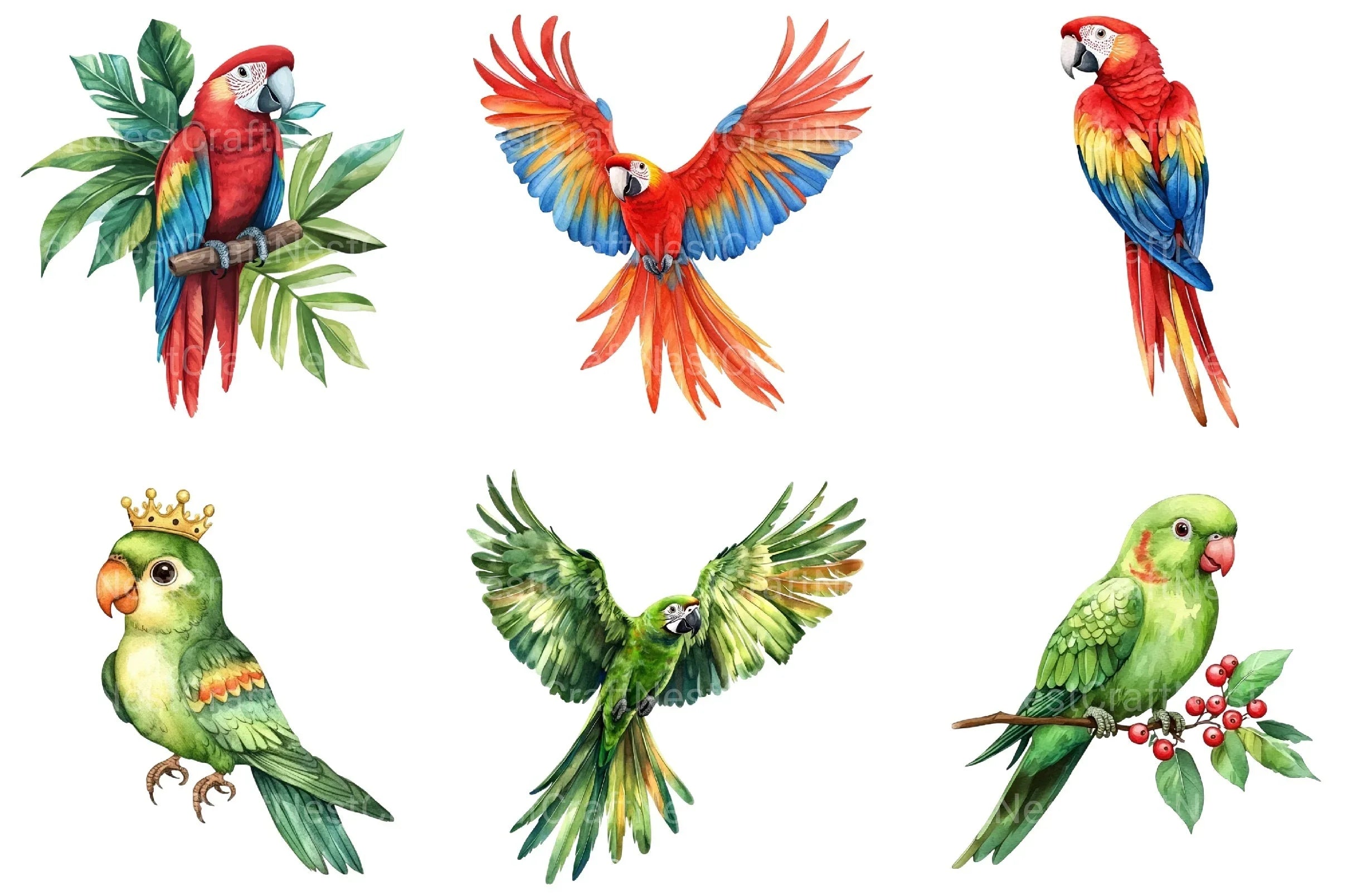 Parrots Clipart Bundle - CraftNest - Digital Crafting and Art