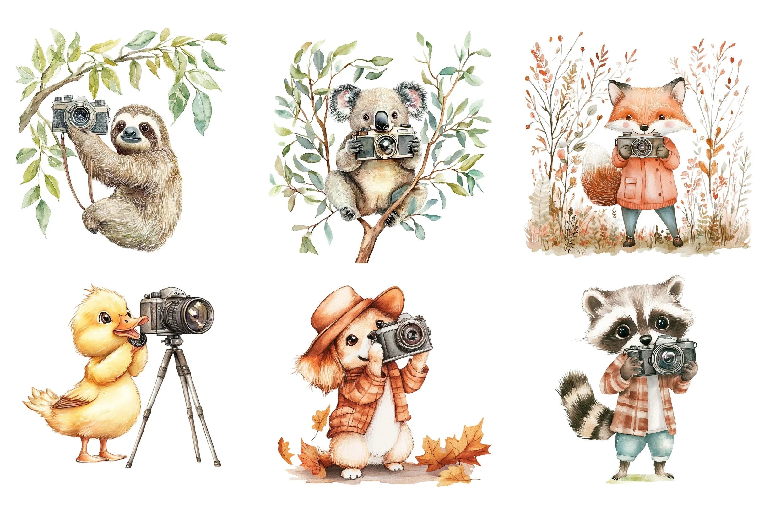 Cute Animals Photographer Clipart Bundle - CraftNest - Digital Crafting and Art