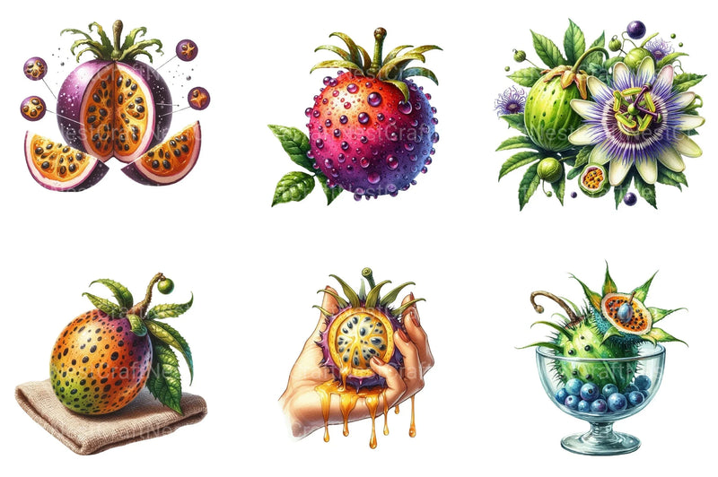 Maracuja Clipart Bundle - CraftNest - Digital Crafting and Art