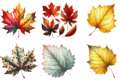 Autumn Leaf Clipart Bundle - CraftNest - Digital Crafting and Art