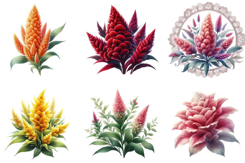 Celosia Flower Clipart Bundle - CraftNest - Digital Crafting and Art
