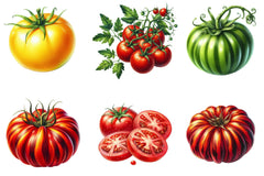 Tomatoes Clipart Bundle - CraftNest - Digital Crafting and Art
