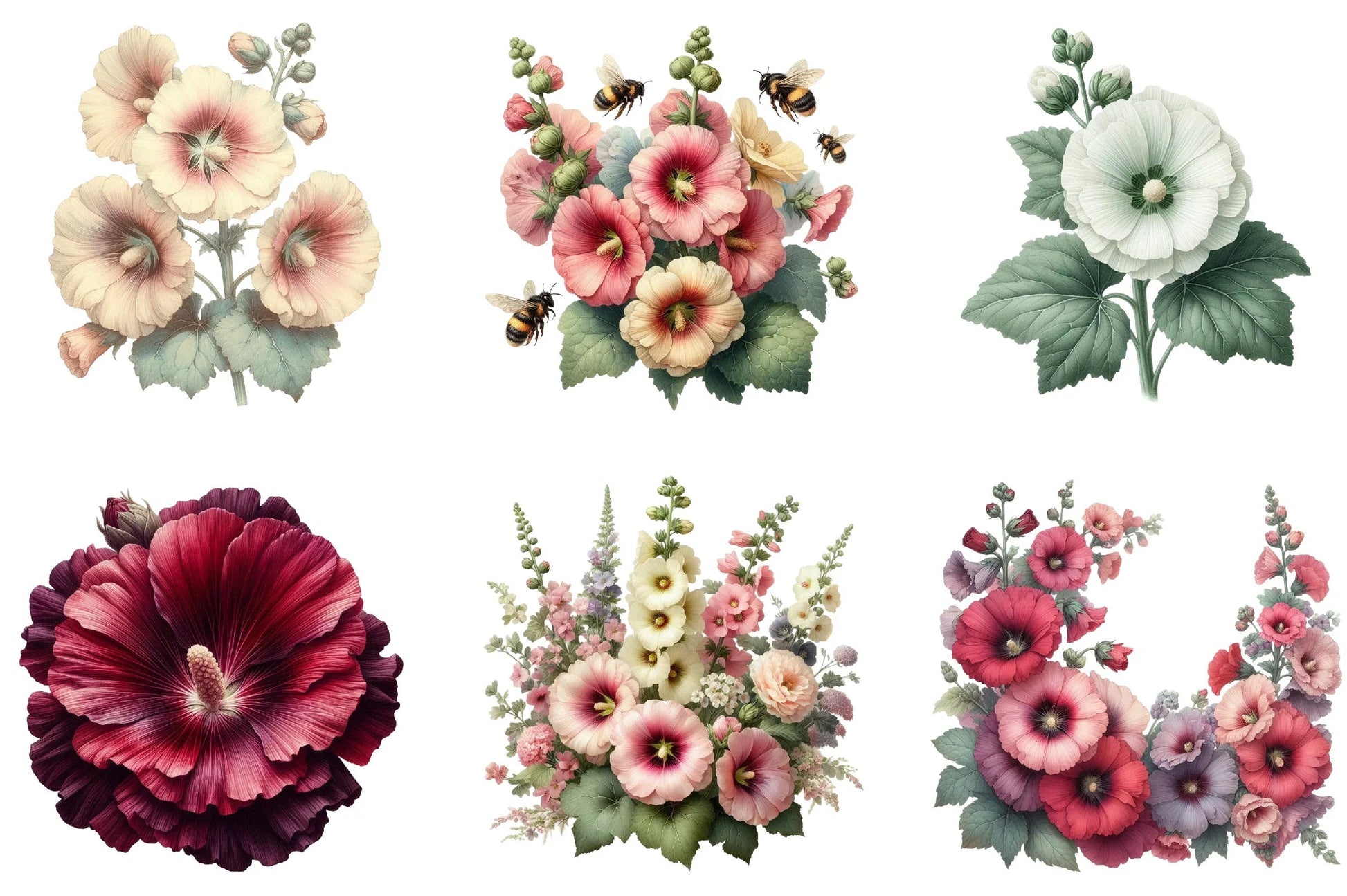 Hollyhock Clipart Bundle - CraftNest - Digital Crafting and Art