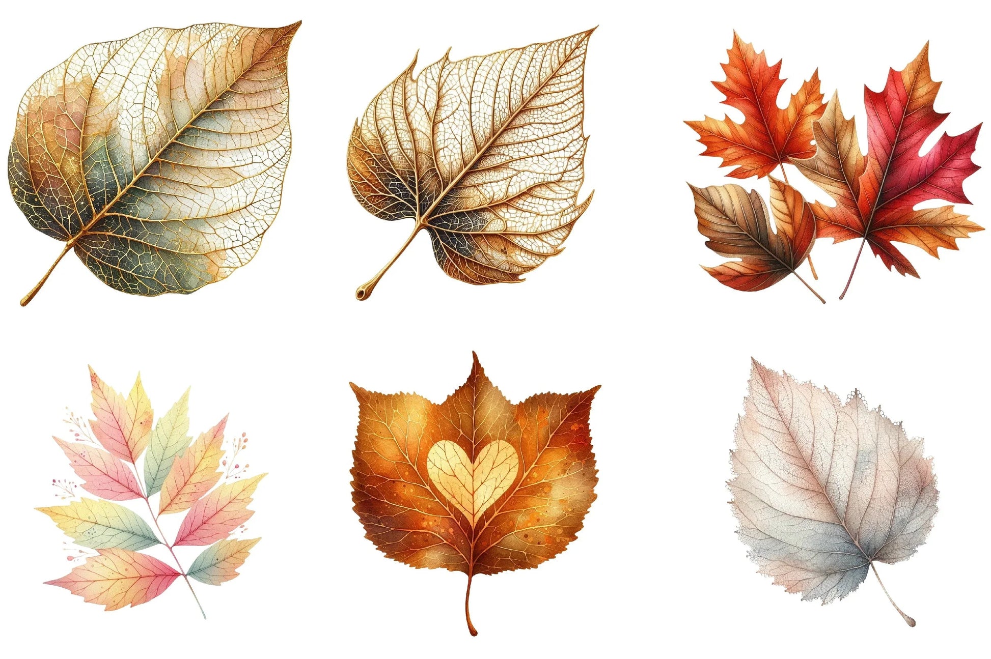 Autumn Leaf Clipart Bundle - CraftNest - Digital Crafting and Art