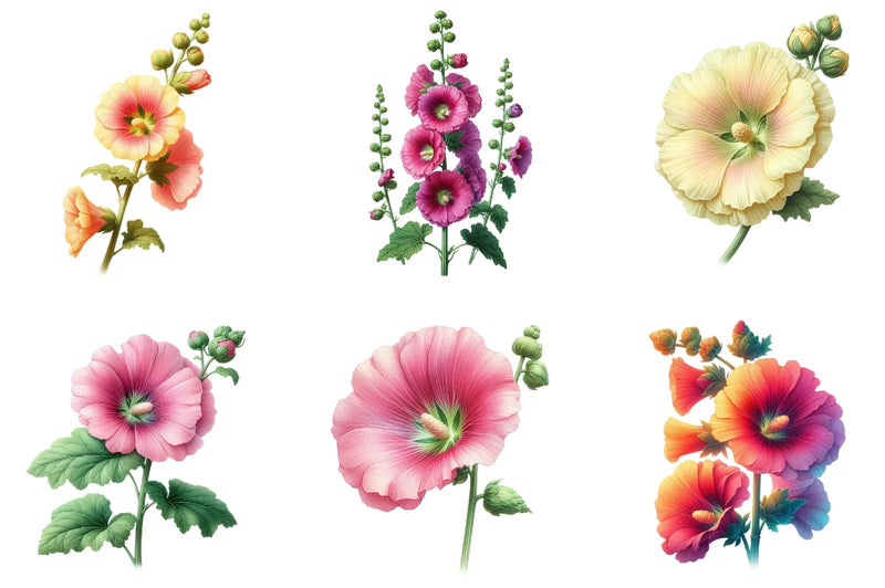 Hollyhock Clipart Bundle - CraftNest - Digital Crafting and Art