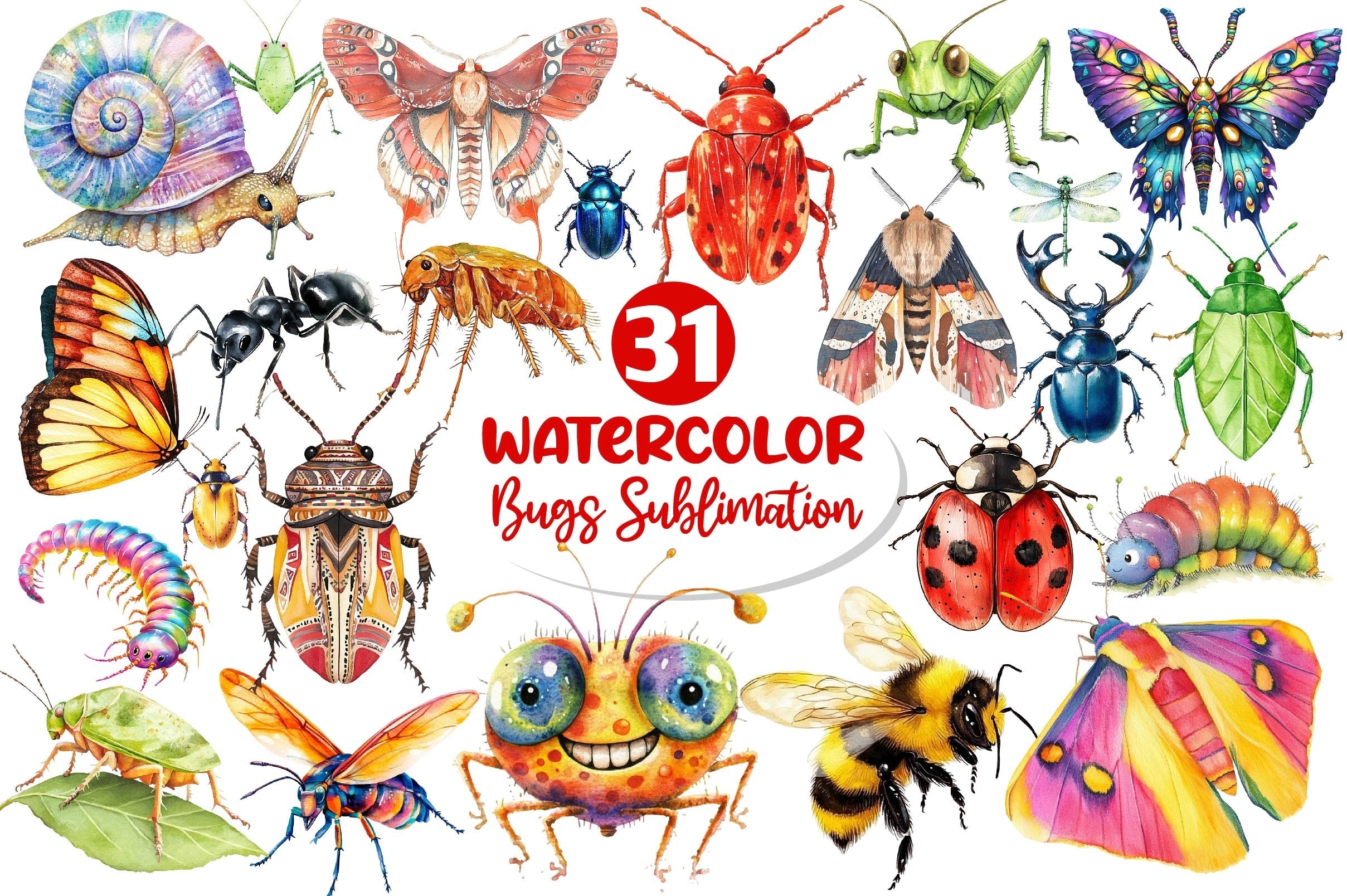 Bugs Clipart Bundle