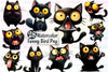 Crazy Cats Clipart Bundle