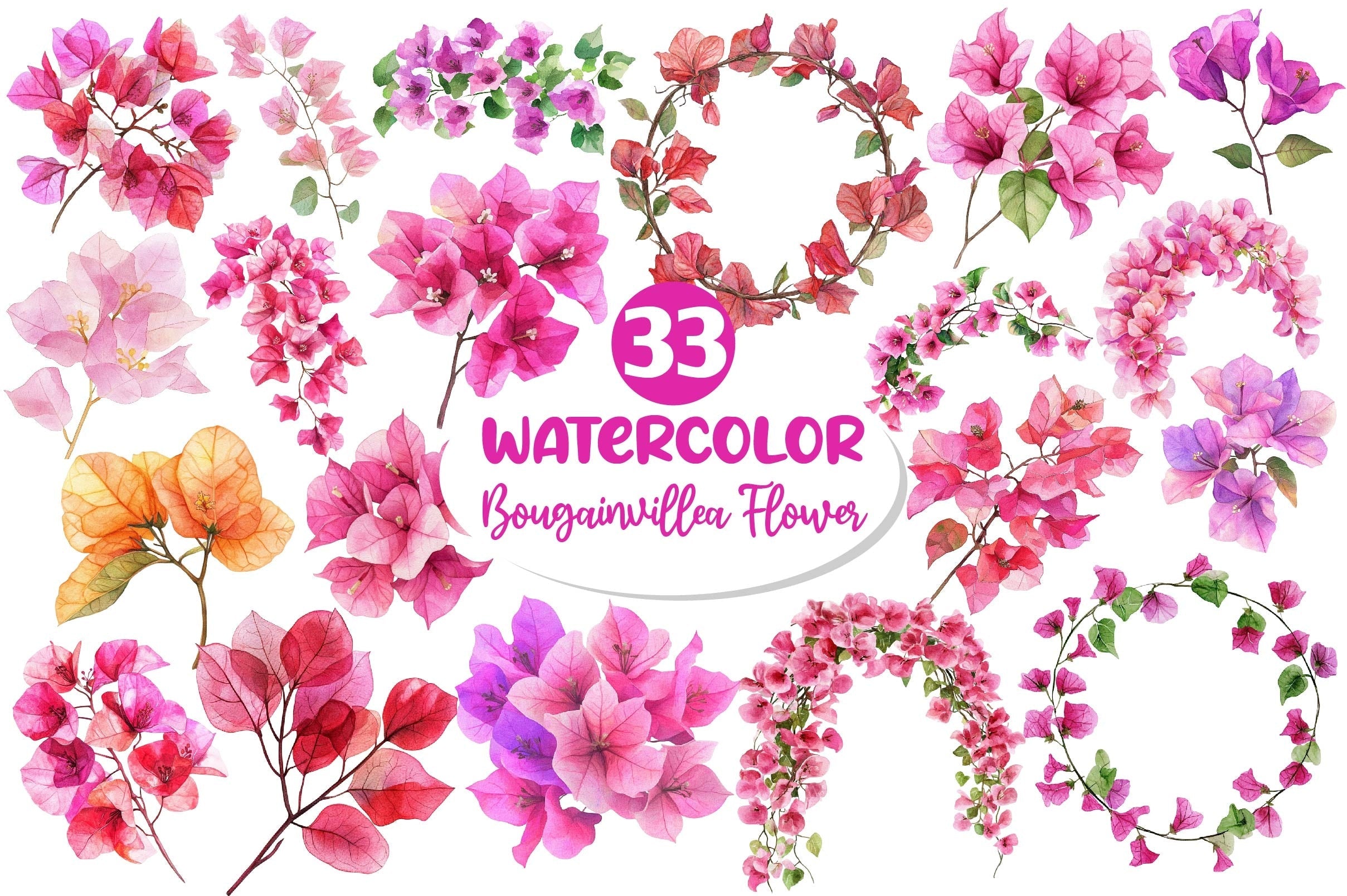 Bougainvillea Flower Clipart Bundle 5