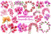 Bougainvillea Flower Clipart Bundle 5