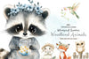 Whimsical Summer Woodland Animals Clipart Bundle