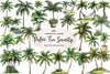 Palm Tree Serenity Clipart Bundle