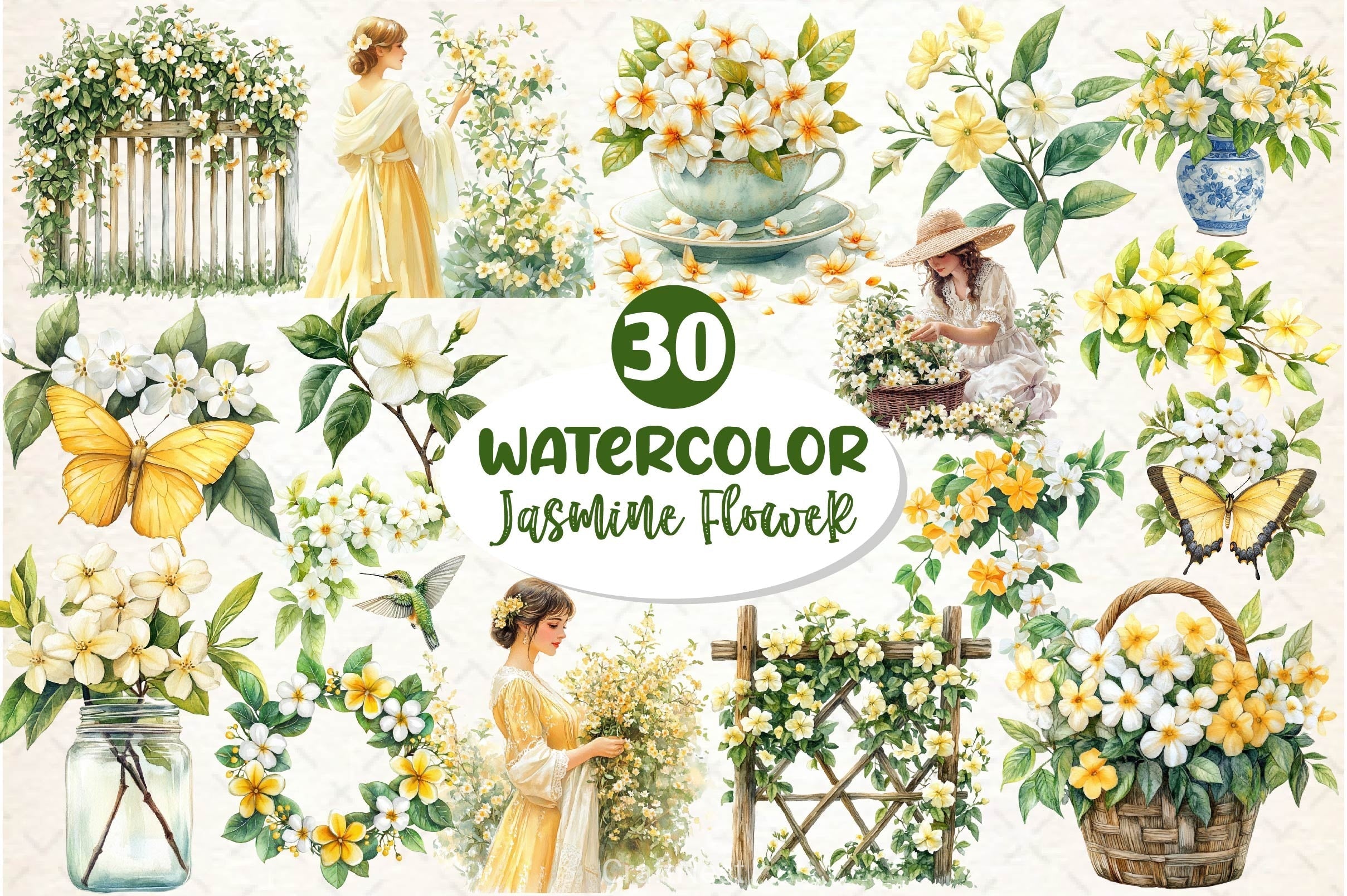 Spring Jasmine Flower Clipart Bundle