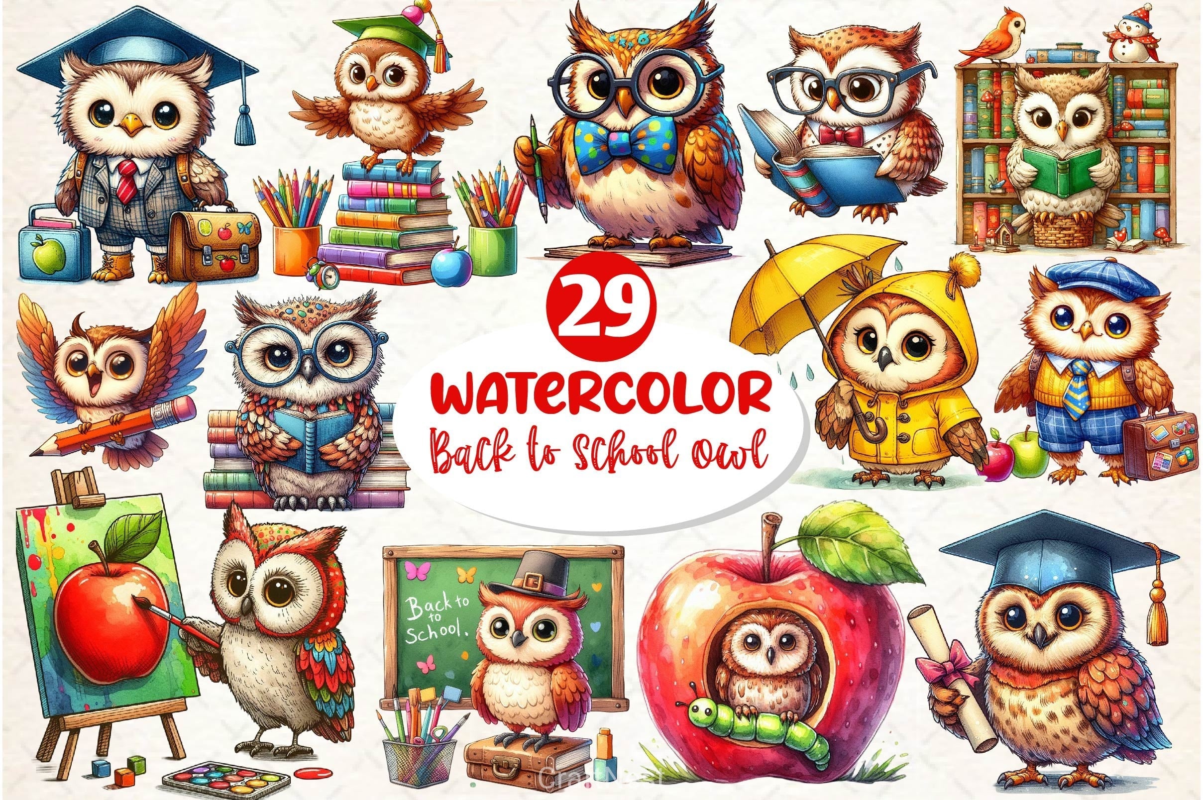 Back To School Owl Clipart Bundle