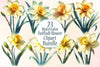 Daffodil Flower Clipart Bundle