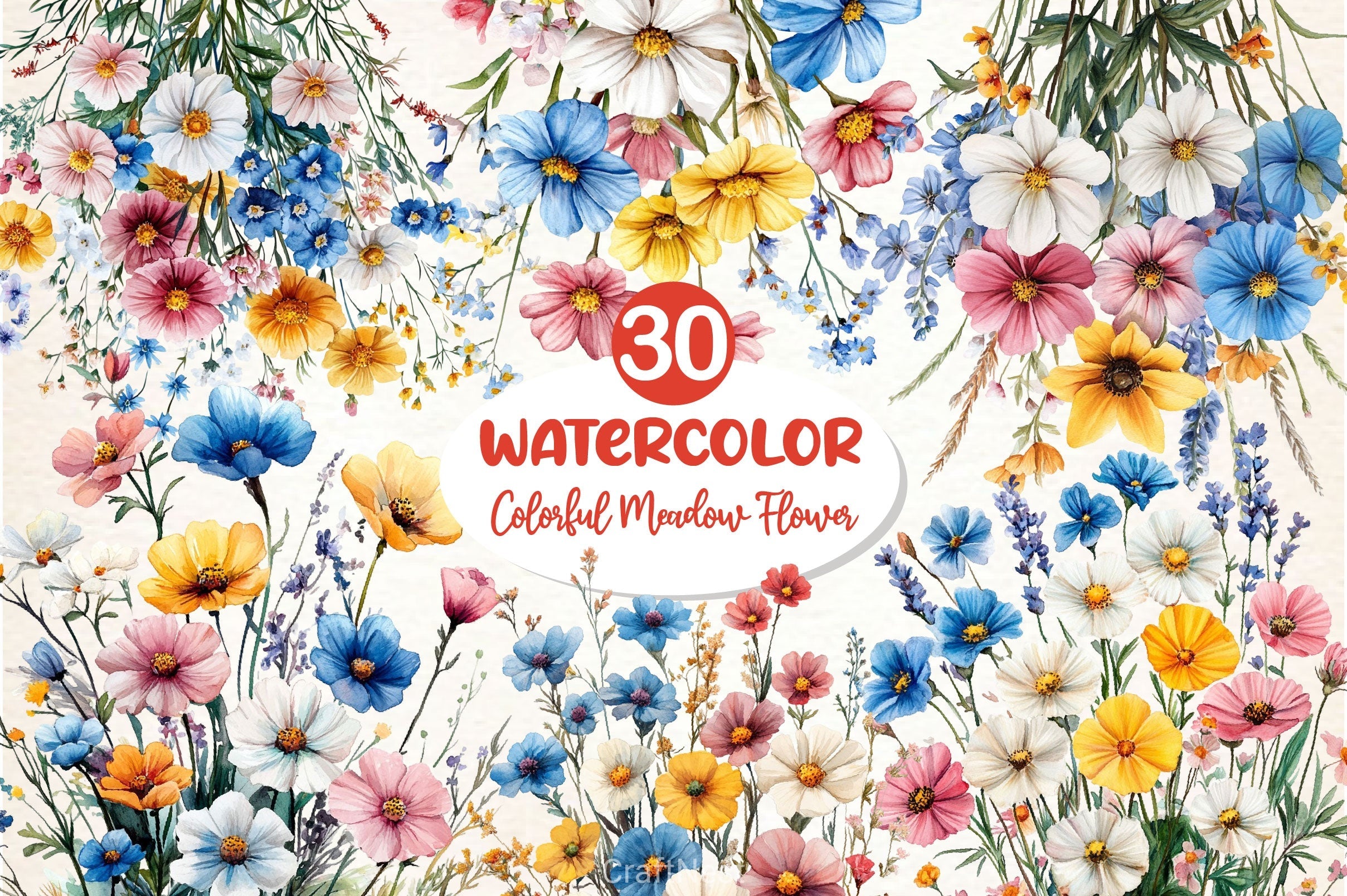 Colorful Meadow Flower Clipart Bundle 2