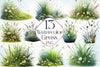 Grass Clipart Bundle