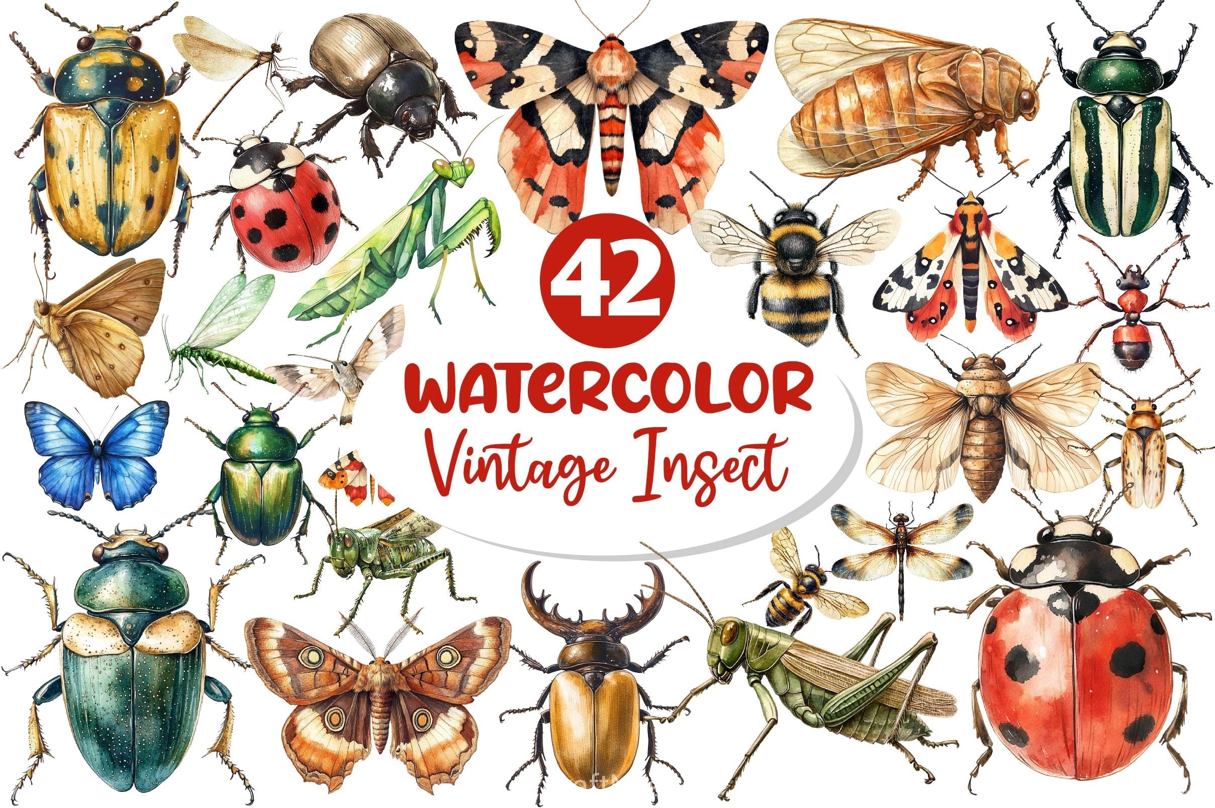 Vintage Insect Clipart Bundle