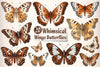 Vintage Butterflies Wings Clipart Bundle