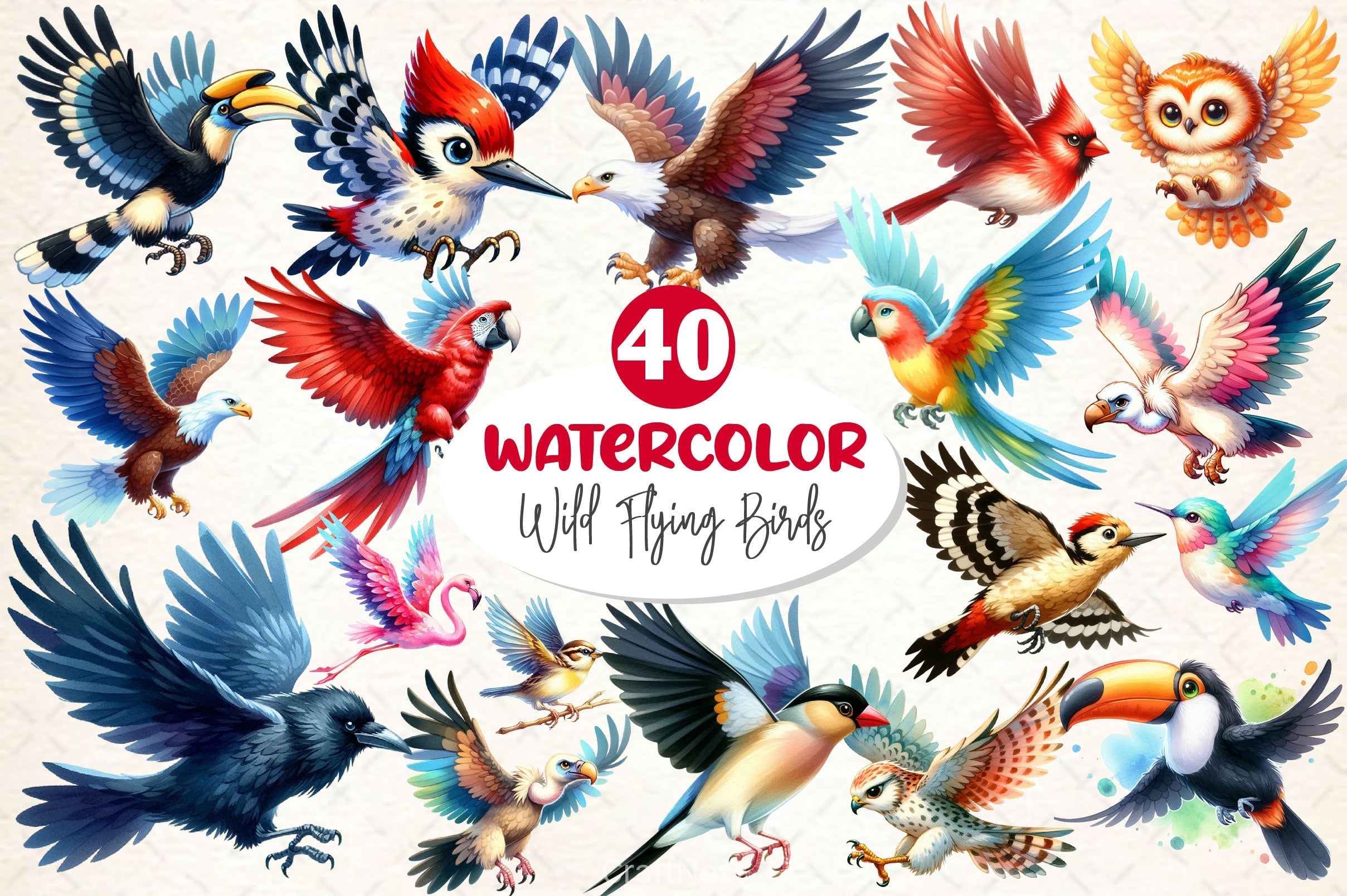 Wild Flying Birds Clipart Bundle