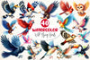 Wild Flying Birds Clipart Bundle