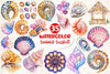 Summer Seashell Clipart Bundle 2