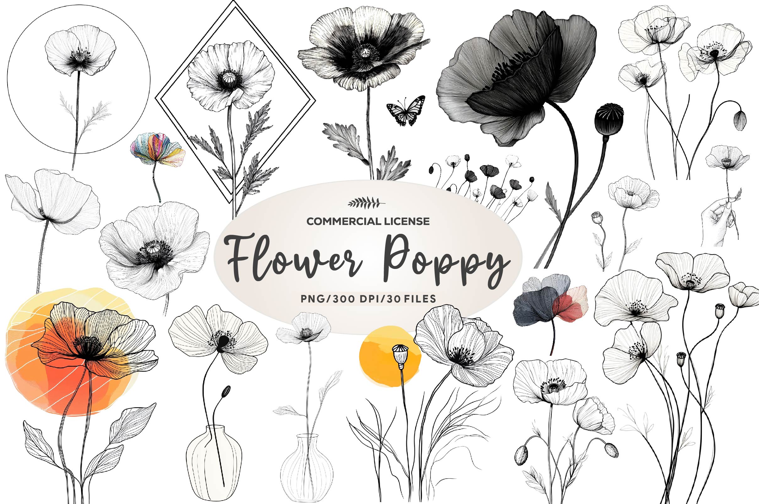 Poppy Flower Clipart Bundle