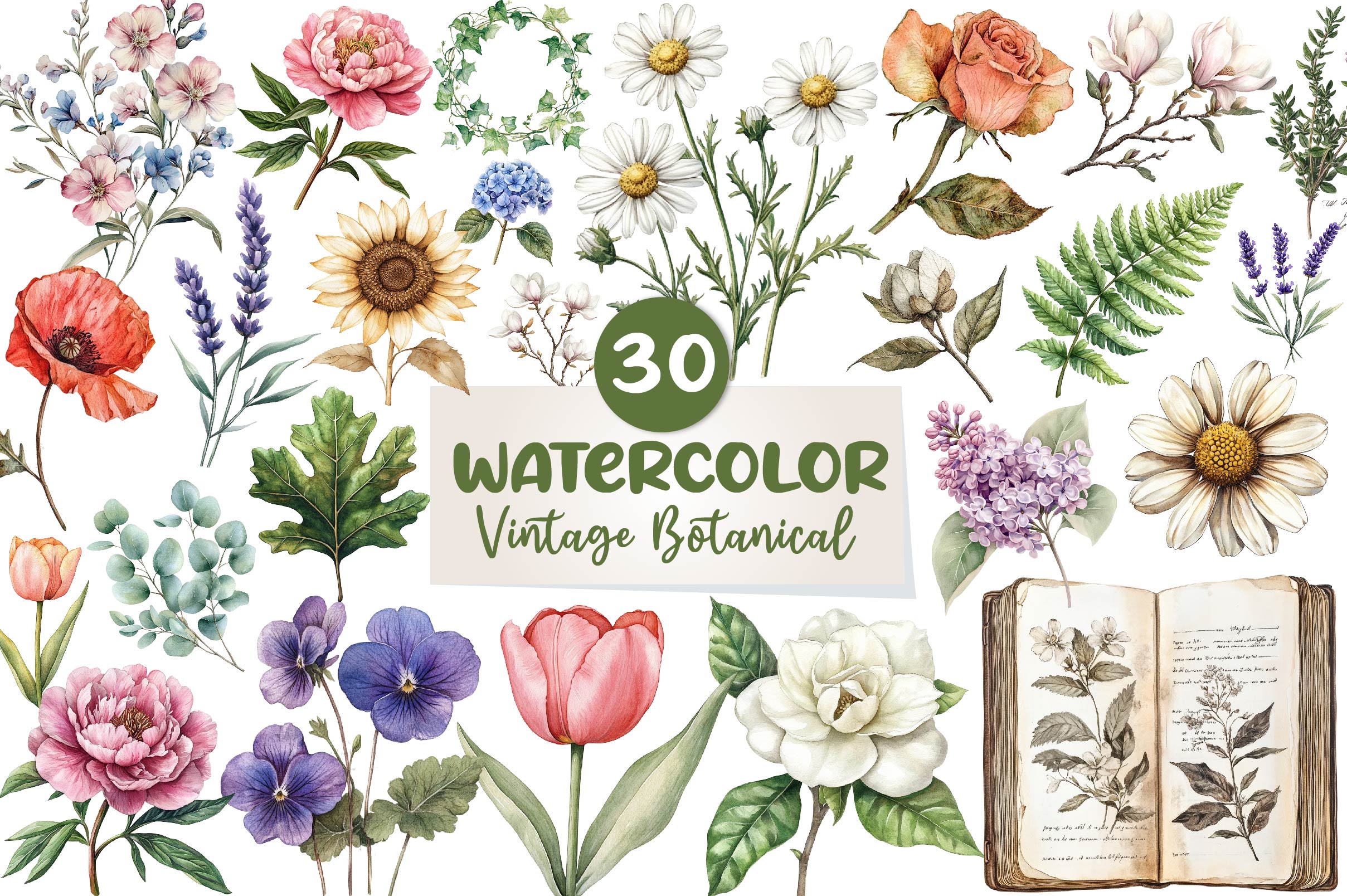 Vintage Botanical Clipart Bundle 1