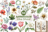 Vintage Botanical Clipart Bundle 1