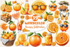 Oranges Clipart Bundle 2