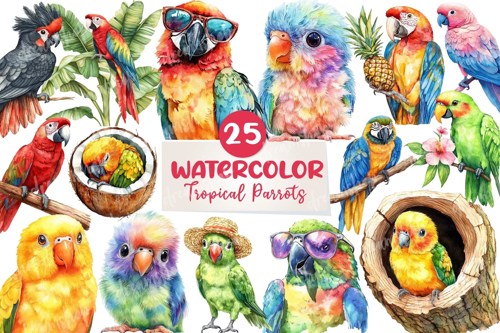Tropical Parrots Clipart Bundle - CraftNest - Digital Crafting and Art