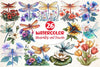 Dragonfly And Flowers Tattoo Clipart Bundle