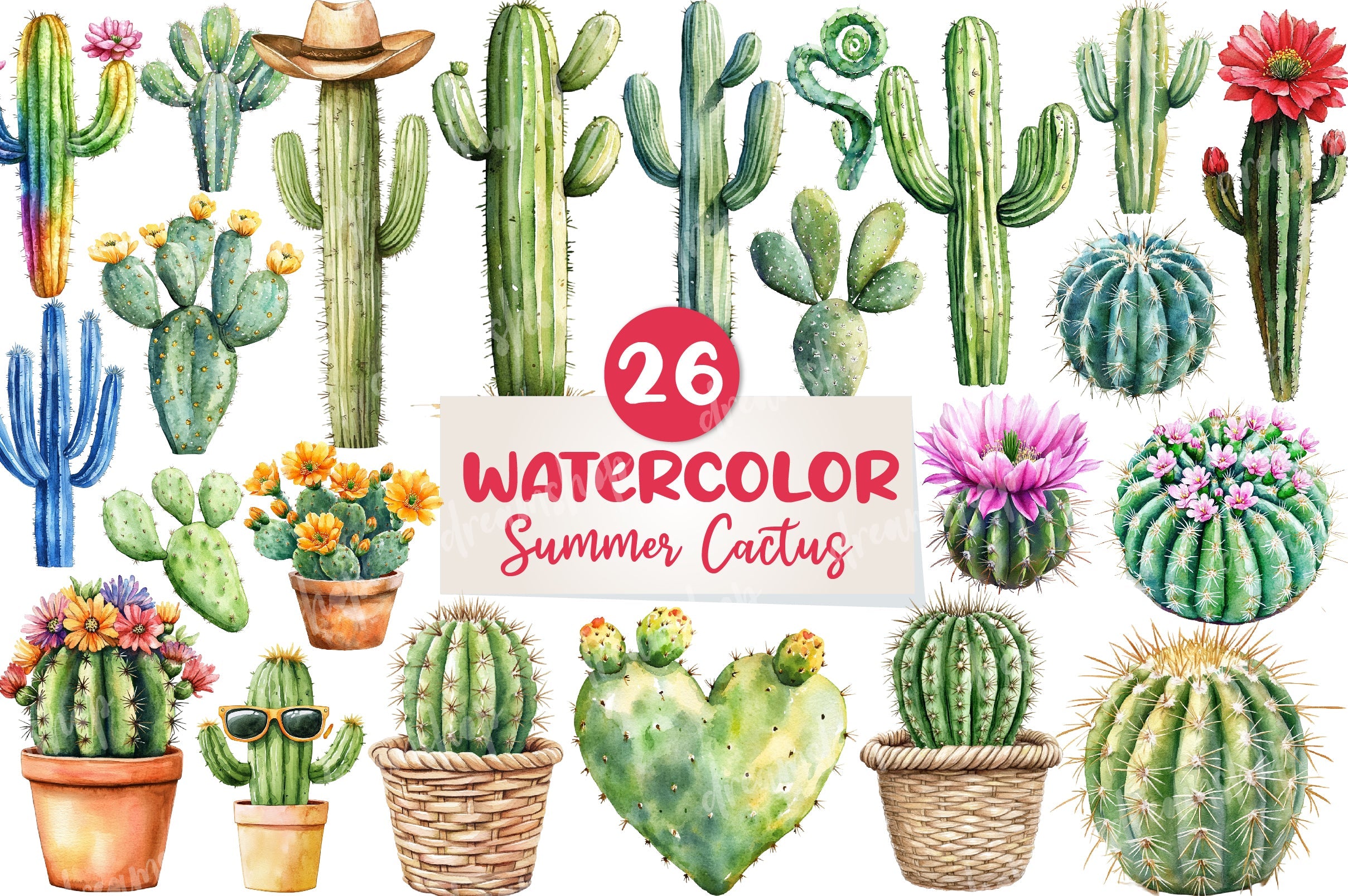 Summer Cactus Clipart Bundle