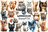 Surprised Funny Crazy Cat Clipart Bundle
