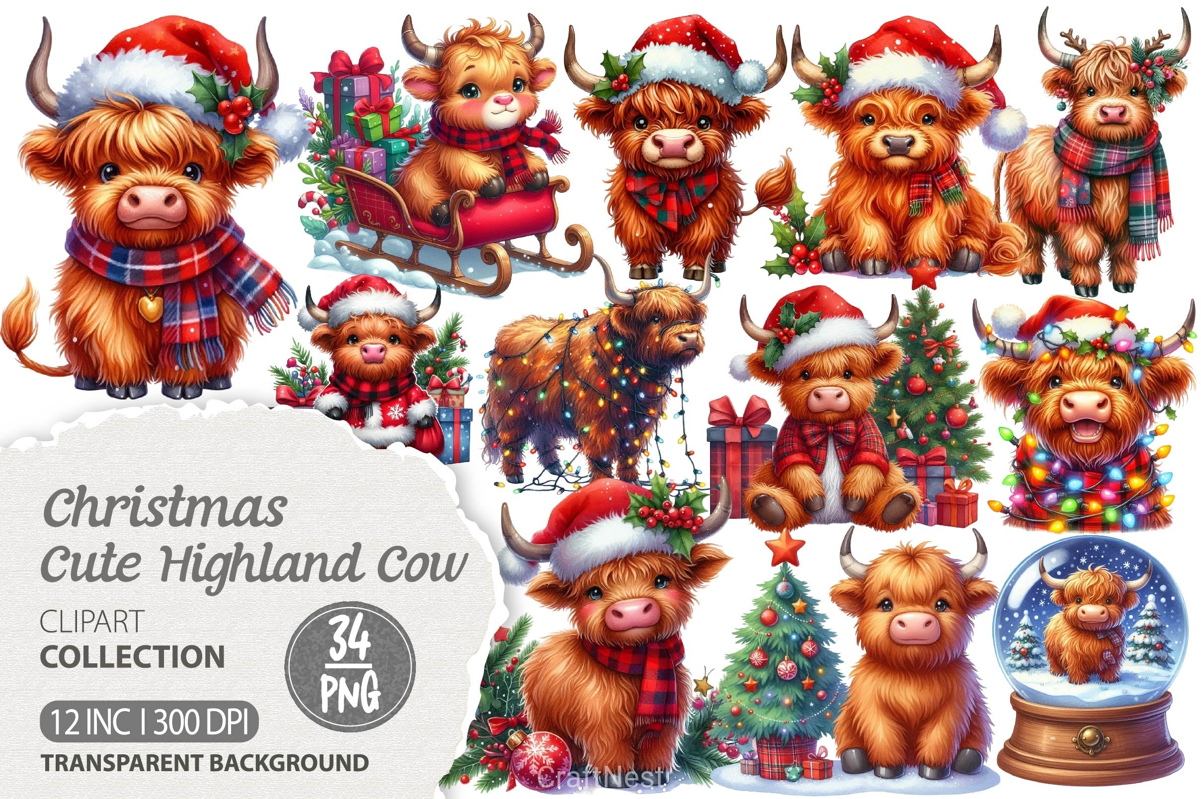 Cute Christmas Highland Cow Clipart Bundle 6