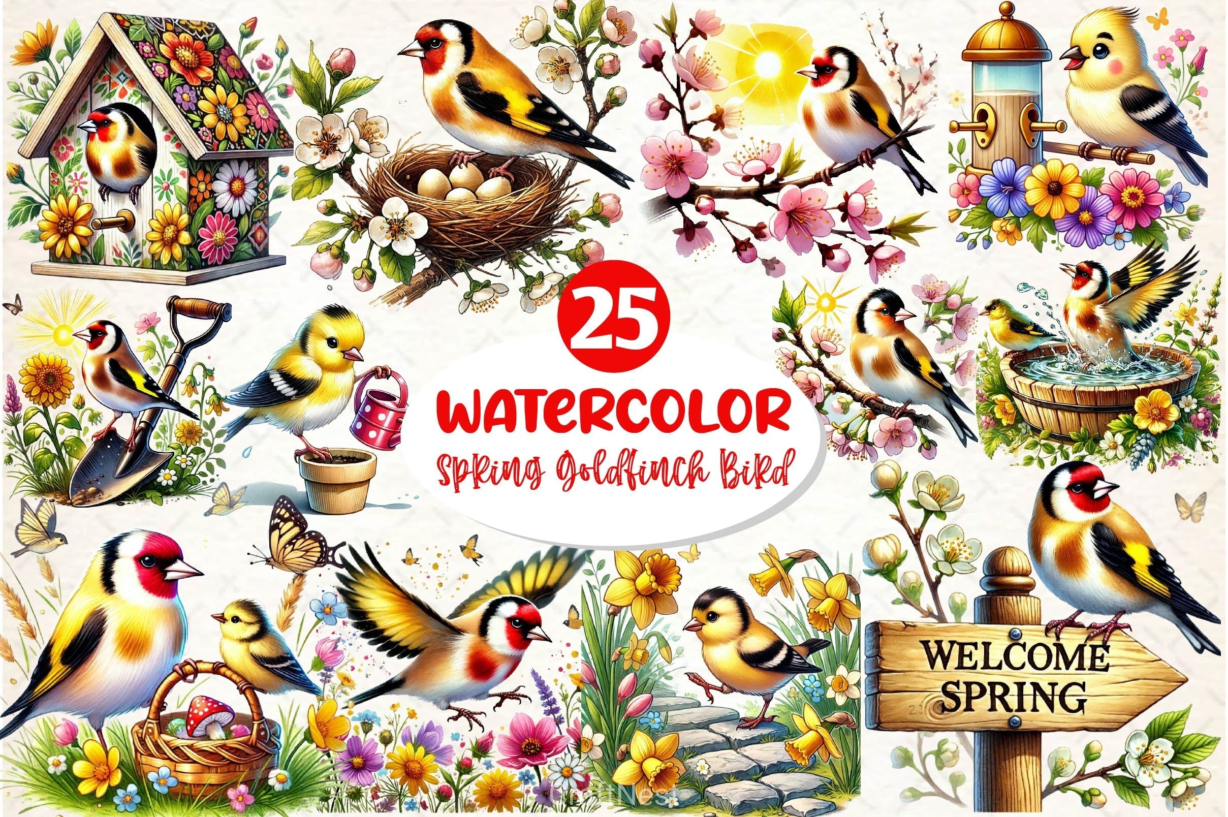 Spring Goldfinch Bird Clipart Bundle 2